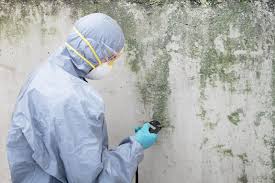 Why You Should Choose Our Mold Remediation Services in Westminster, SC